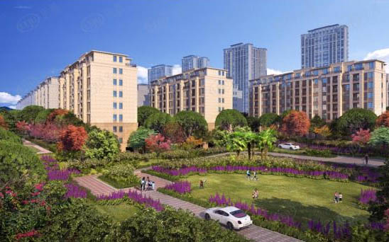 �|����������